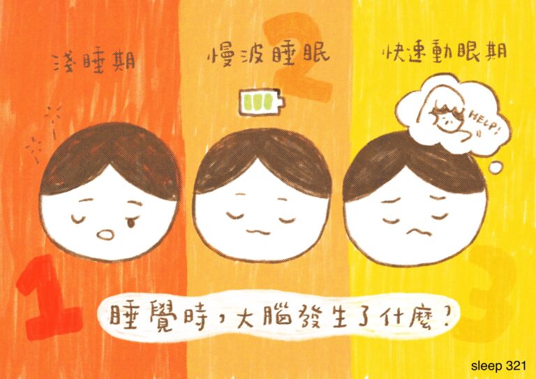 認識睡眠是什麼2：睡覺時，大腦發生了什麼？